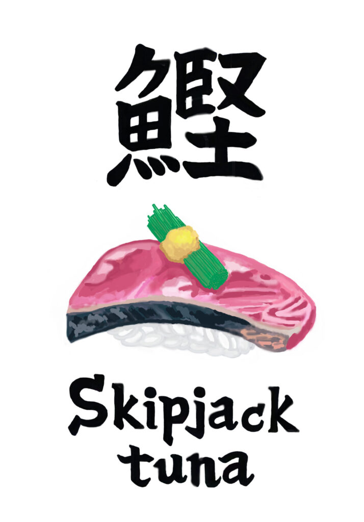 鰹 Skipjack tuna