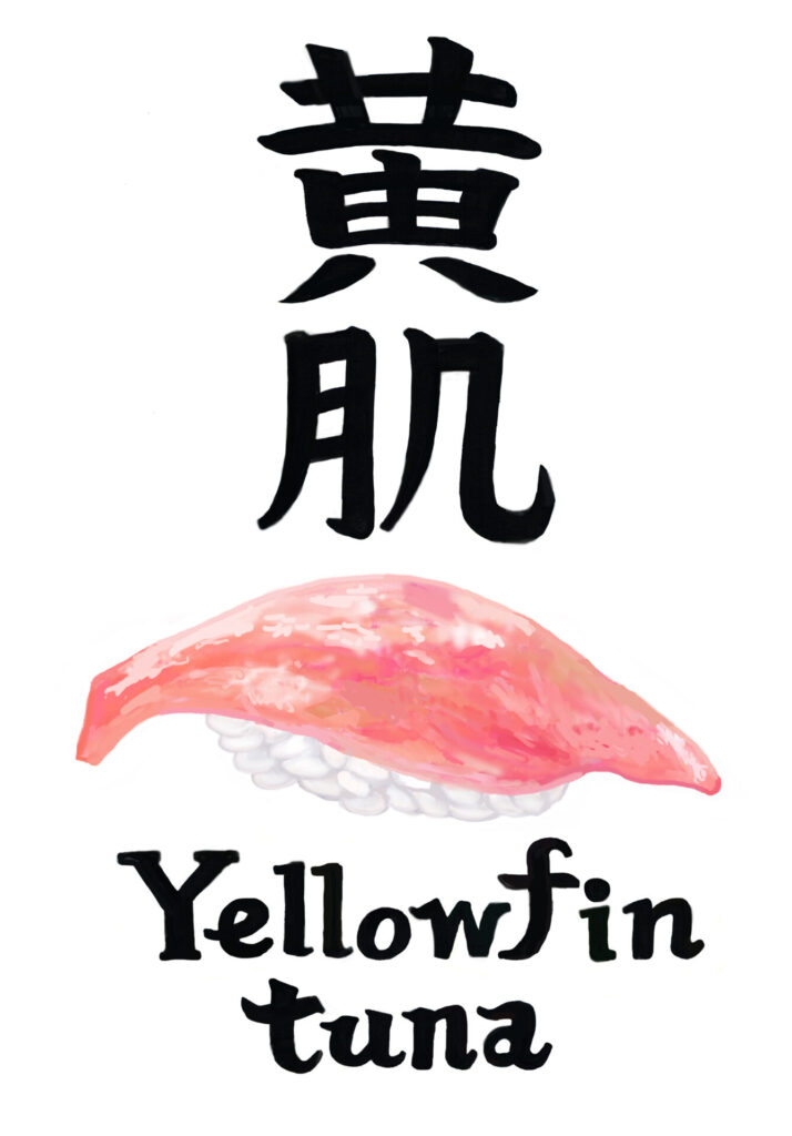 黄肌 Yellowfin tuna