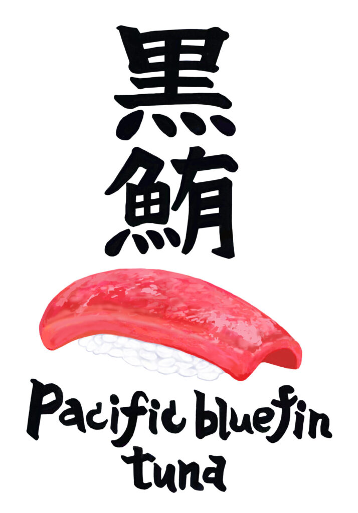 黒鮪 Pacific bluefin tuna