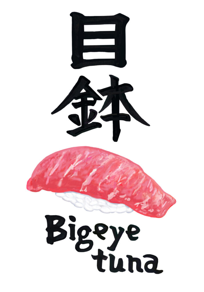 目鉢 Bigeye tuna