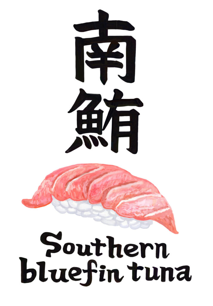 南鮪 Southern bluefin tuna