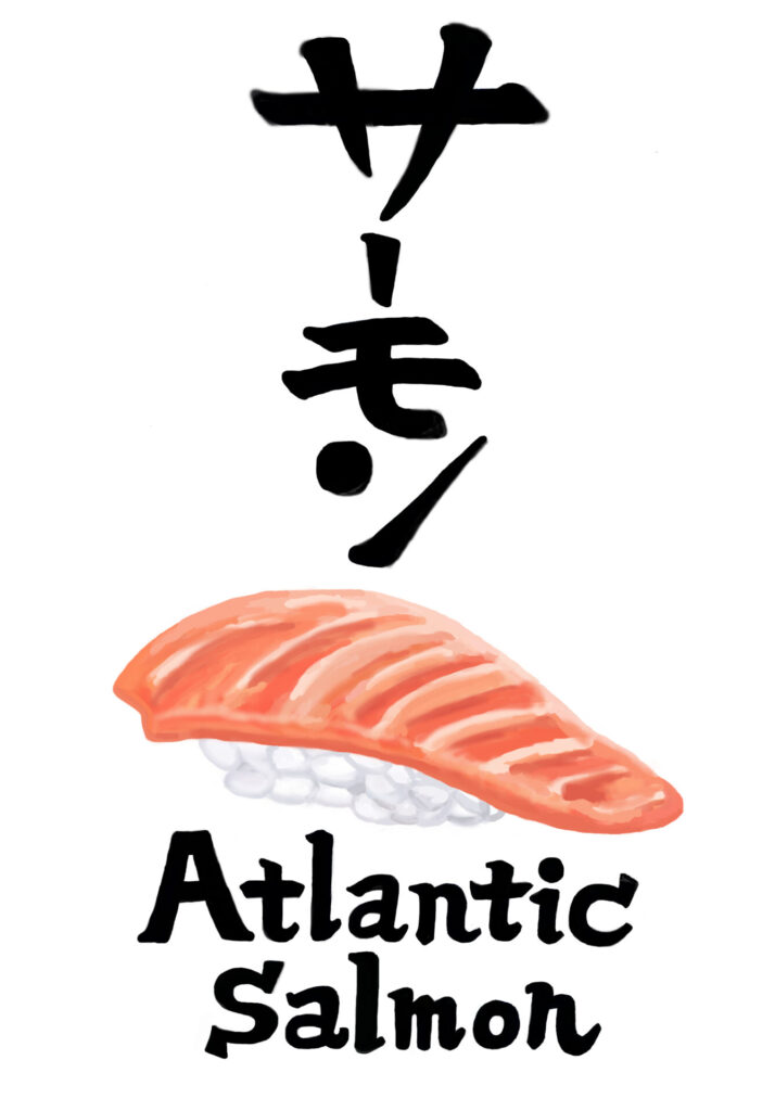 サーモン Atlantic Salmon